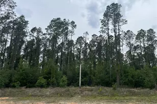 33740 Larkin Rd, Dade City, FL 33523 - Photo 27