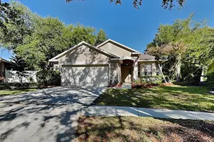 [Address not provided], Tampa, FL 33647 - Photo 1