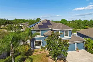3453 Marmalade Ct, Land O Lakes, FL 34638 - Photo 63