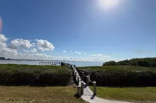 4301 Bay Club Cir, Tampa, FL 33607 - Photo 7