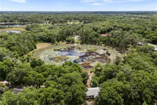 5841 SE 164 Ave, Ocklawaha, FL 32179 - Photo 23