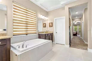 16726 Courtyard Loop, Land O Lakes, FL 34638 - Photo 43