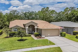 1237 Almondwood Dr, Trinity, FL 34655 - Photo 1