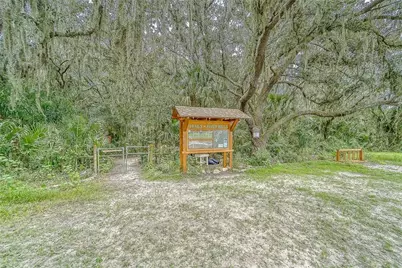 5218 Twin Creeks Drive, Valrico, FL 33596 - Photo 67
