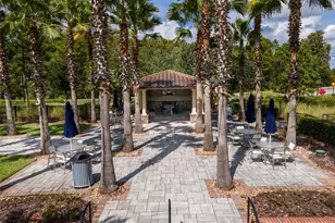 4989 San Martino Dr, Wesley Chapel, FL 33543 - Photo 41
