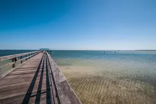 1802 Oak Ridge Rd, Safety Harbor, FL 34695 - Photo 65