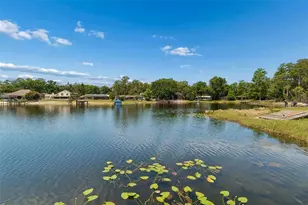 17129 Rainbow Terrace, Odessa, FL 33556 - Photo 83