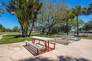 2008 N Pointe Alexis Dr, Tarpon Springs, FL 34689 - Photo 57