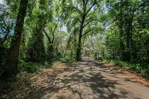 8602 Bonnie Cove Ln, Odessa, FL 33556 - Photo 7