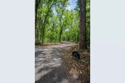 8602 Bonnie Cove Lane, Odessa, FL 33556 - Photo 5