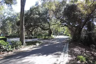 2620 6th Ct, Palm Harbor, FL 34684 - Photo 5