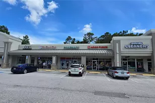 3297 Valemoor Dr, Palm Harbor, FL 34685 - Photo 47