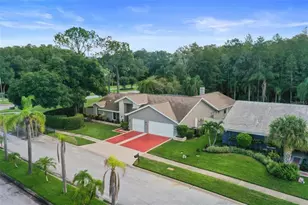 3297 Valemoor Dr, Palm Harbor, FL 34685 - Photo 27