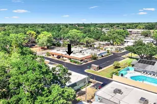 325 Sky Loch Dr W, Dunedin, FL 34698 - Photo 35