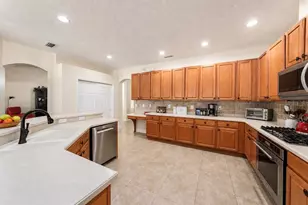 19328 Autumn Woods Ave, Tampa, FL 33647 - Photo 7