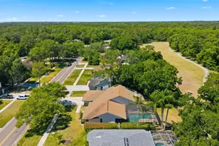 3285 Tarpon Woods Blvd, Palm Harbor, FL 34685 - Photo 47