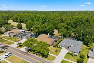 3285 Tarpon Woods Blvd, Palm Harbor, FL 34685 - Photo 51