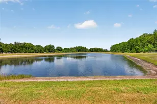 2213 Cerulean Sky Dr, Lutz, FL 33558 - Photo 53