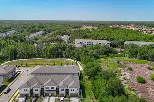 10801 Ft White Ct, Tampa, FL 33647 - Photo 3
