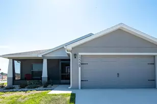 12239 Cypress Br St, Riverview, FL 33579 - Photo 1
