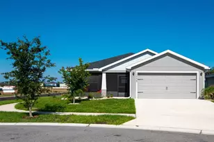 12239 Cypress Br St, Riverview, FL 33579 - Photo 1