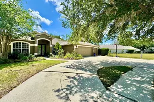 16934 Melissa Ann Dr, Lutz, FL 33558 - Photo 3