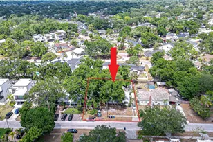 1009 W Coral St, Tampa, FL 33602 - Photo 3