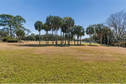 29244 Whipporwill Lane, Wesley Chapel, FL 33543 - Photo 3