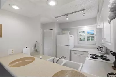 29130 Bay Hollow Drive #3312, Wesley Chapel, FL 33543 - Photo 9