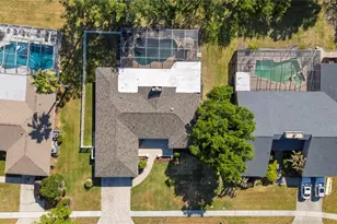 405 Holly Hill Rd, Oldsmar, FL 34677 - Photo 49