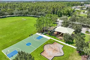 4022 Waterville Ave, Wesley Chapel, FL 33543 - Photo 43