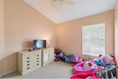4017 Langdrum Drive, Wesley Chapel, FL 33543 - Photo 19