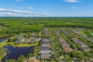 20133 Heron Crossing Dr, Tampa, FL 33647 - Photo 75