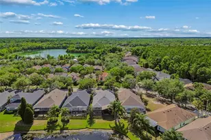 20133 Heron Crossing Dr, Tampa, FL 33647 - Photo 49