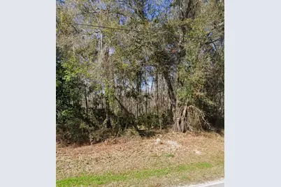 Key Lime, New Port Richey, FL 34654 - Photo 1