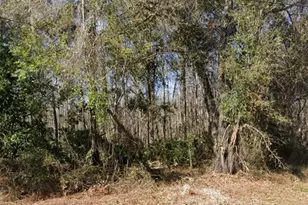 Key Lime, New Port Richey, FL 34654 - Photo 1