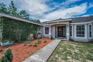 12123 Fulmar Rd, Weeki Wachee, FL 34614 - Photo 3
