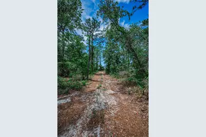 12123 Fulmar Road, Weeki Wachee, FL 34614 - Photo 71