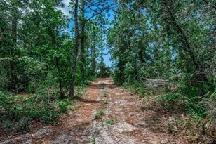 12123 Fulmar Rd, Weeki Wachee, FL 34614 - Photo 71