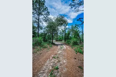 12123 Fulmar Road, Weeki Wachee, FL 34614 - Photo 67