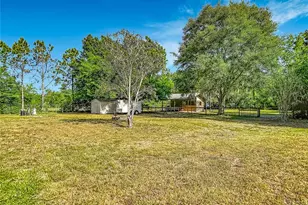 7104 Quail Hollow Blvd, Wesley Chapel, FL 33544 - Photo 29