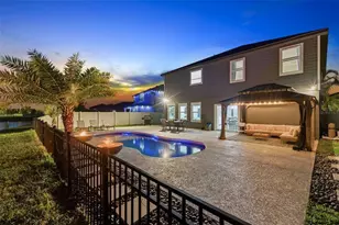 31015 Parrot Reef Ct, Wesley Chapel, FL 33545 - Photo 85