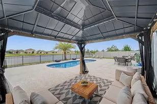 31015 Parrot Reef Ct, Wesley Chapel, FL 33545 - Photo 61