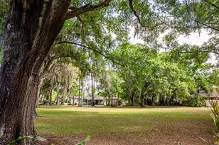 13815 Plainview Rd, Odessa, FL 33556 - Photo 23