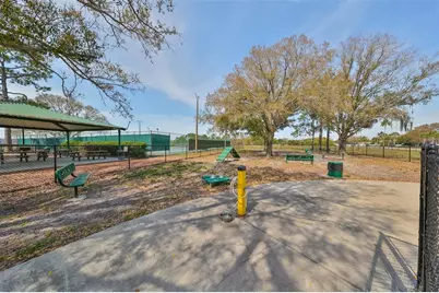 11216 Scotchwood Drive, Riverview, FL 33579 - Photo 29