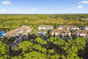 17856 Althea Blue Pl, Lutz, FL 33558 - Photo 55
