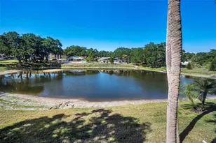 936 Virginia St, Dunedin, FL 34698 - Photo 23