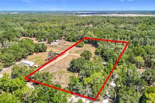 40949 Jerry Rd, Zephyrhills, FL 33540 - Photo 3