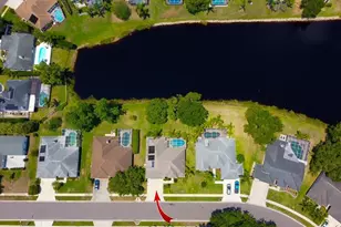 2456 Appaloosa Trail, Palm Harbor, FL 34685 - Photo 31