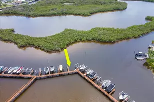 4516 Seagull Dr, New Port Richey, FL 34652 - Photo 67